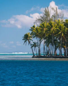 raiatea-mirir miri - MD Sail Services - Croisières privée à la voile aux îles sous le vent Md Sail Services - Croisières Privée à La Voile Aux îles Sous Le Vent